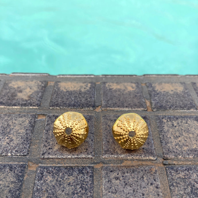 Boucles d'oreilles oursins